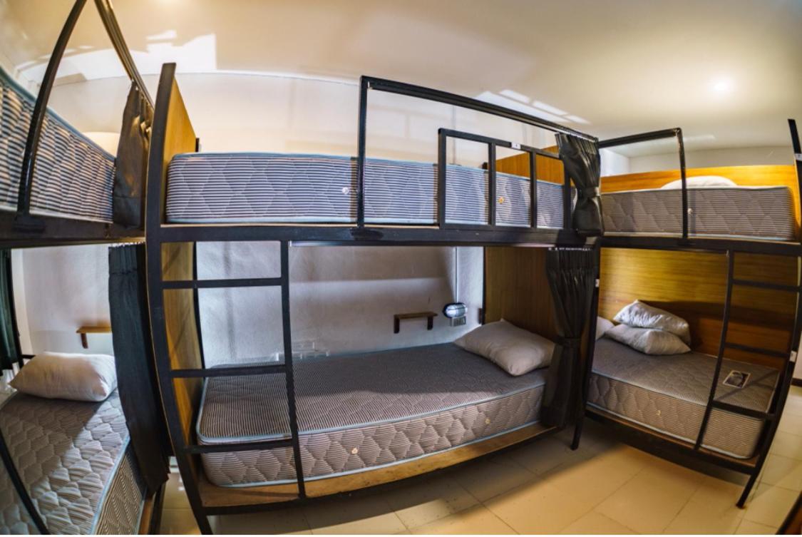 קו טאו Nitro House Hostel מראה חיצוני תמונה